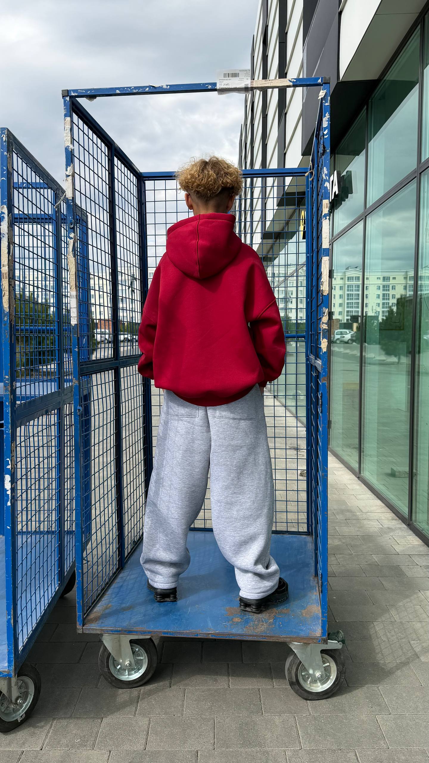 Спортивні штани на флісі BIG BAGGI Спортивні штани на флісі BIG BAGGI